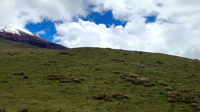 Paramo Volcanic Slopes with Cotopaxi Volcano (Cotopaxi National Park, Ecuador)