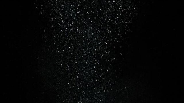 Heavy snowfall on black background, white snow flakes falling gently, winter storm blizzard overlay, graphic resource for Christmas holiday season or cold weather effects