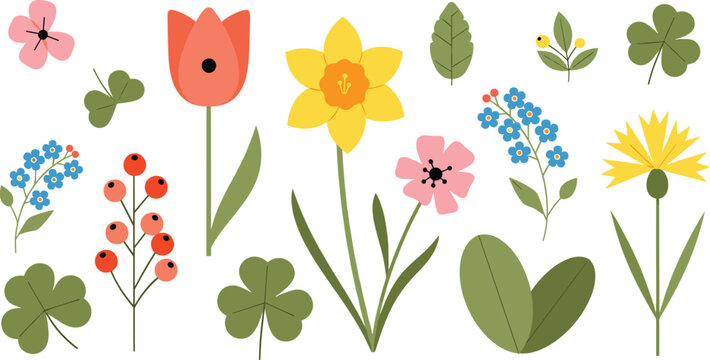 Spring flowers and leaves collection with tulip daffodil berries clover and wildflowers botanical vector illustration set