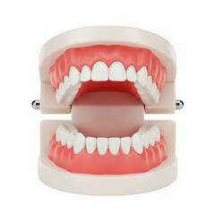 Obraz premium An illustration of an open mouth displaying both the upper and lower set of teeth.