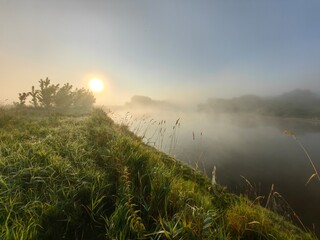 Dawn on the river with fog, field grasses in the sun.