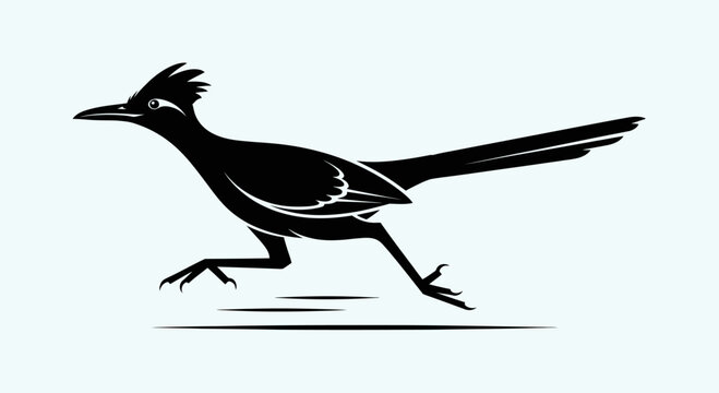 Chaparral Cock