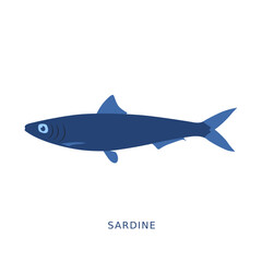 Sardine fish fishing animal