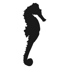 Sea horse © Vexels