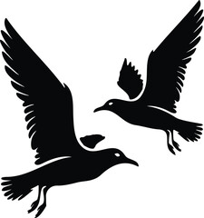Obraz premium Pair of flying seagulls isolated on transparent background