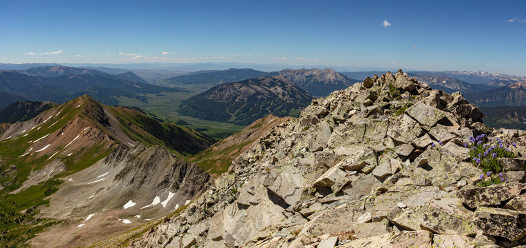 Purple Sky Pilot wildflowers grow near the rocky summit of Colorado 13er White Benchmark (13,411'), located in the beautiful Elk Range near Crested Butte, CO.