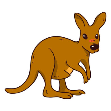 Cute kangaroo tail baby kangaroo ear leg flat
