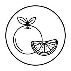 Fresh citrus fruit with leaf illustration on white plate with segment for healthy eating and diet