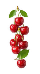 Obraz premium Bunch of ripe red cherries with green leaves isolated on transparent background