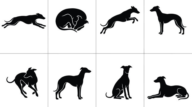 Various black silhouette illustrations of greyhound dogs in different poses and positions