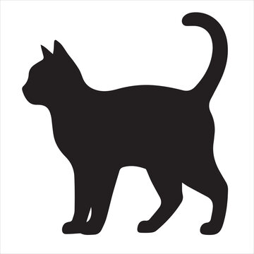 black cat silhouette