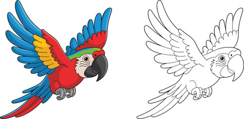 Obraz premium Colorful macaw parrot flying cartoon vector illustration, tropical bird with spread wings, exotic wildlife character with colored and outline versions