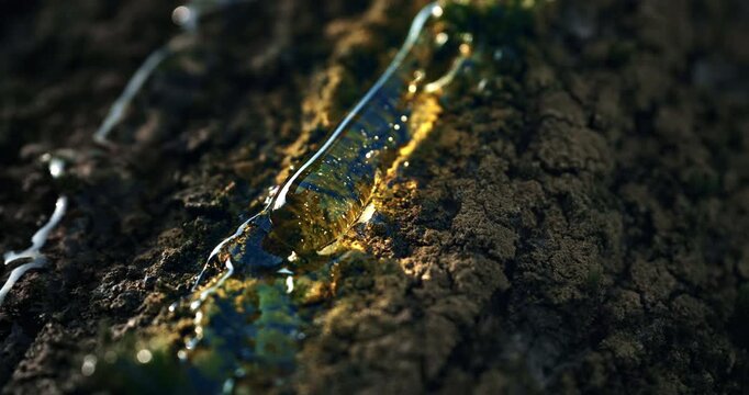 Slow Motion of Golden Resin Flowing From Tree Bark Macro Close Up. Concept of Natural Tree Sap.

