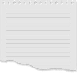 Obraz premium Blank paper page from lined notebook realistic mockup