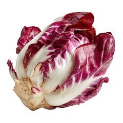 Fototapeta premium PNG of Close-up of fresh radicchio lettuce with vibrant red and white leaves.