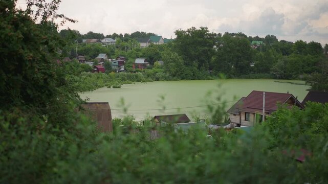 Green algae pond overlooking village rooftops, lush foreground shrubs framing tranquil yet slightly murky water under cloudy summer sky, distant houses and dense tree line creating serene but eerie
