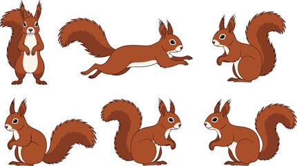 Red squirrel different poses wildlife forest animal vector illustration set © EdGe Creative
