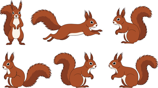 Red squirrel different poses wildlife forest animal vector illustration set