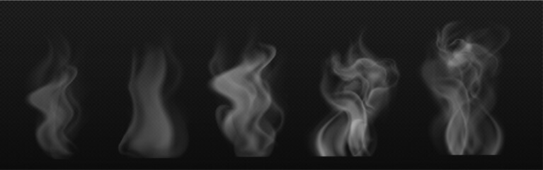 Fototapeta premium Smoke and Steam Effects Set - White Wispy Smoke Swirls 