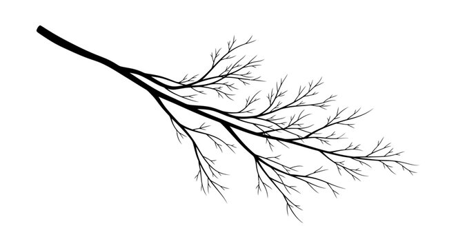 Black Branch Silhouette.