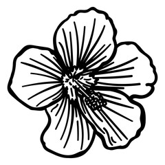 Stamen flower petal stroke © Vexels