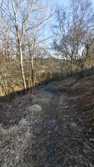 Obraz premium Rural Norwegian Landscape with Fields, River and Country Roads in Early Spring