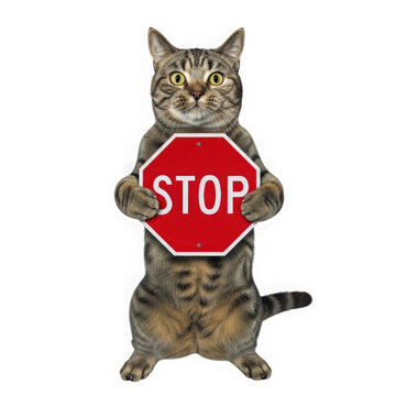 A playful cat with a stop sign on its back, looking mischievous and adorable. isolated on transparent background