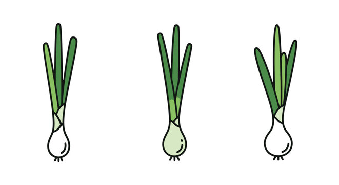 Green onion Line art vector abstract colorful design illustration