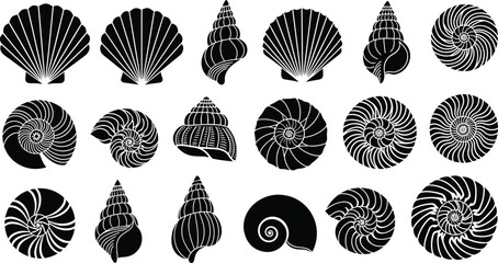 Collection of black seashell silhouettes and spiral snail shell illustrations isolated on white background for marine and coastal nature designs © MDGOLAP