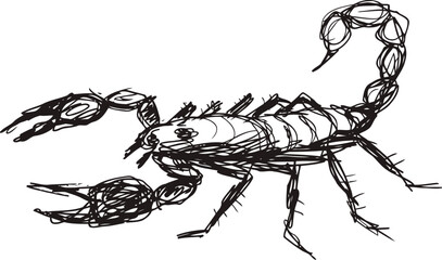 Hand drawn scorpion sketch with detailed pincers and curved tail, black ink illustration