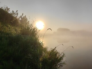 Fog at dawn on the river, summer landscape.