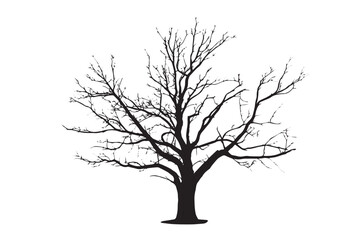 Silhouetted tree stands stark against a pure white background. © NvM