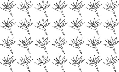 Fototapeta premium Bird of Paradise Flower Pattern Outline Tropical Exotic Bloom Repeating Motif Vector Stock Graphic