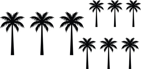 Obraz premium Set of tropical palm tree silhouettes isolated on white background summer beach nature botanical vector illustration collection for design