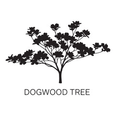 Obraz premium Dogwood tree silhouette isolated on white background, ornamental plant vector illustration