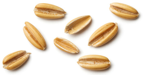 Wheat Kernels on White Background seeds cereal beige