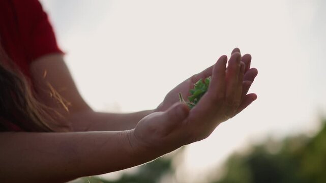 Woman cupping mint leaves, sunlit field background with warm backlight as she inhales scent, intimate moment of mindfulness and calm, gentle smile and relaxed posture suggesting ritual of aromatherapy