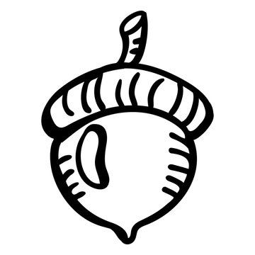 Hand drawn acron flat outline