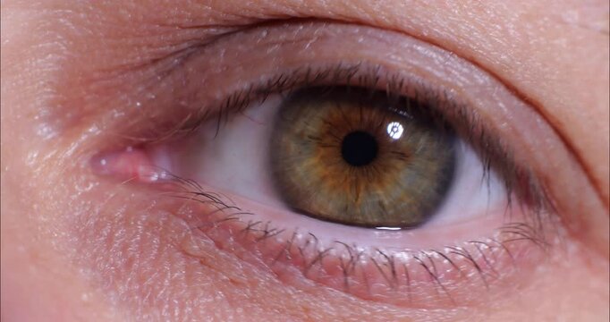 Human eye close-up. Pupil and eyelids. Vision test. Eye health.