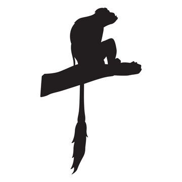 Black and white colobus silhouette