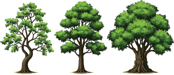 green leafy trees isolated on white background, botanical illustration set, forest foliage collection, detailed nature elements, summer woodland plants, © MDRAKIBUL