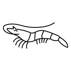 Shrimp sea animal stroke