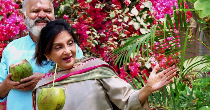 Indian senior couple having fresh coconut water together in nature sitting in home garden, drinking with straw from green nariyal and enjoying peaceful outdoor conversation