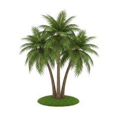 Obraz premium A simple illustration of three palm trees on a small island isolated on transparent background
