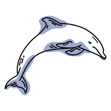 Color stroke semi colored dolphine