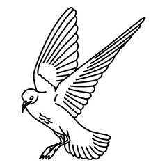 Fototapeta premium Side flying seagull stroke