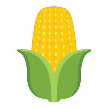 Corn Cob Icon &ndash; Flat Vector Maize with Green Husk Isolated on White Background