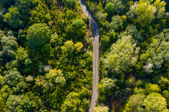 Top-down aerial perspective of a narrow, empty asphalt road winding through a dense, vibrant green forest.