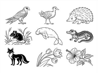 the animal, bird, and flower black vector bundle