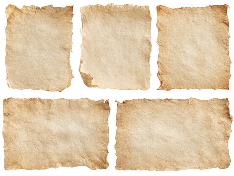 Vintage parchment paper fragments isolated on transparent background